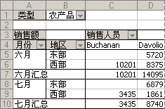 关注西部地区销售情况的数据透视图