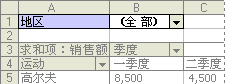 数据透视表页字段示例