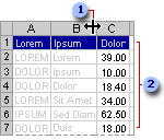 具有适合屏幕查看格式的列表