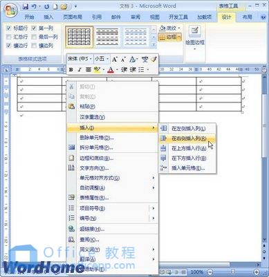 Word2007怎样在表格中插入行和列